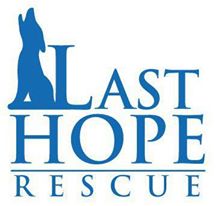 Last Hope Rescue