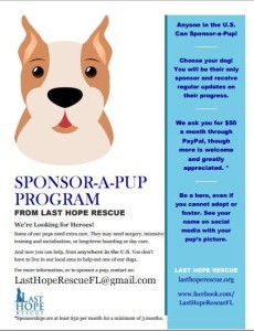 Sponsor a Pup LHR