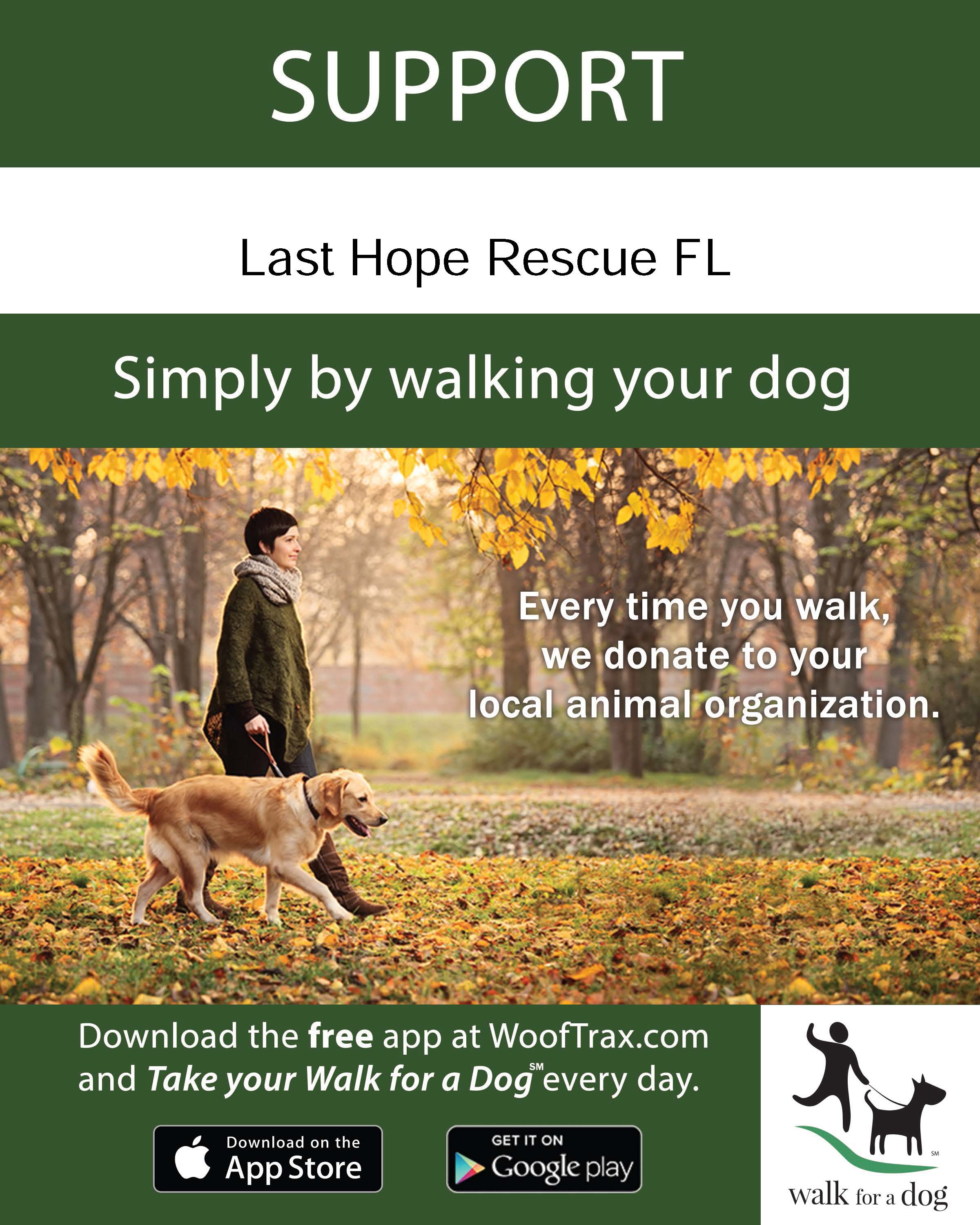 Walk the Dog Flyer